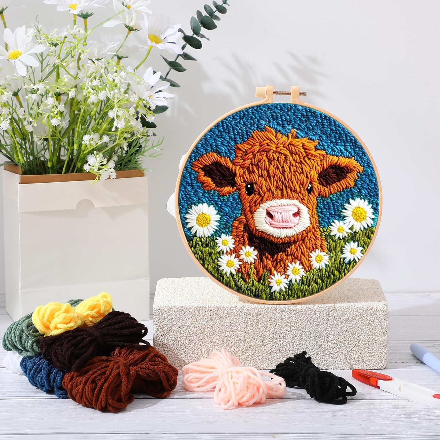 CHENISTORY Punch Needle Kit vo - Embroidery Converter recensie en prijs